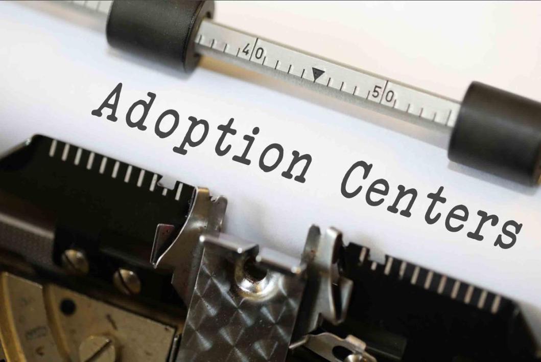What Are The Legal Rights Of Adopted Children?